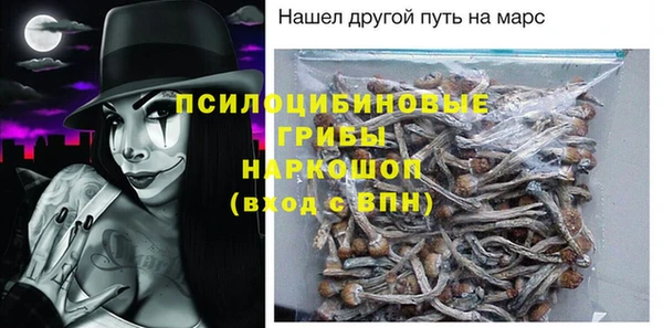 шишки Железногорск-Илимский