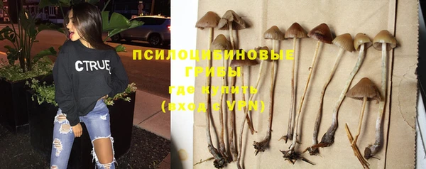 прущие крисы Наволоки